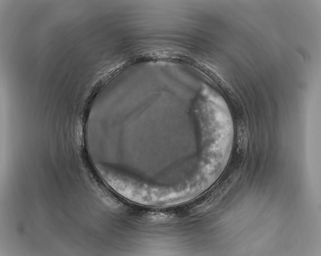 X0000113050453200909241458