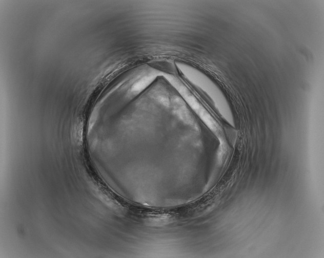 X0000113050454200909241458