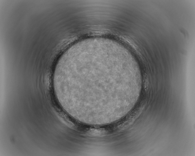 X0000113050455200909241458