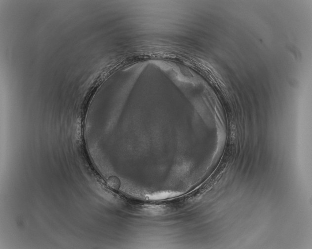 X0000113050457200909241458