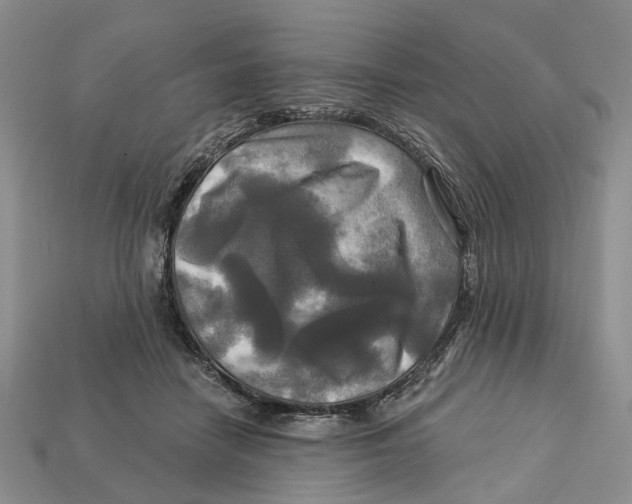 X0000113050458200909241458