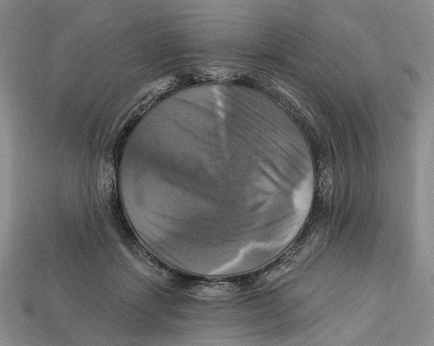 X0000113050459200909241458