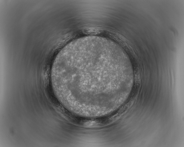 X0000113050460200909241459