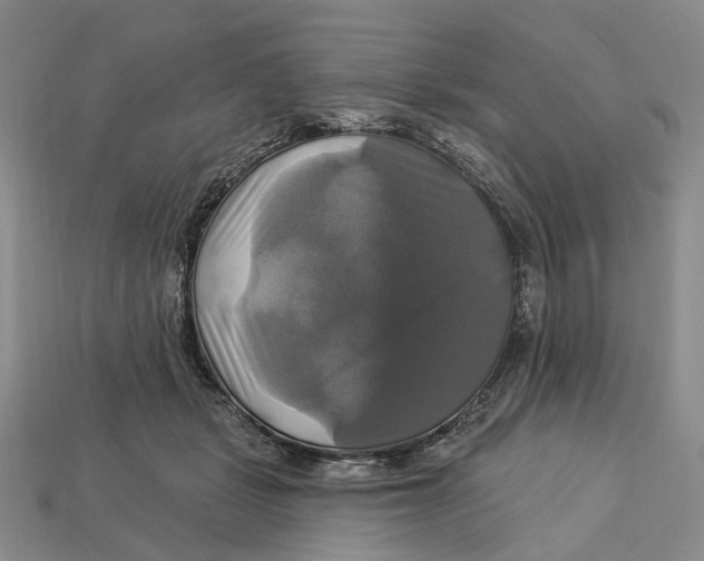 X0000113050461200909241459