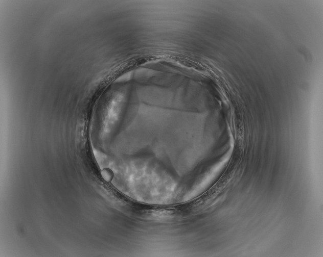 X0000113050462200909241459