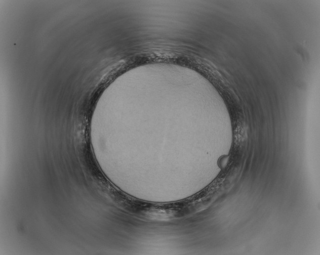 X0000113050464200909241459
