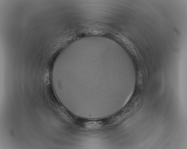 X0000113050465200909241459