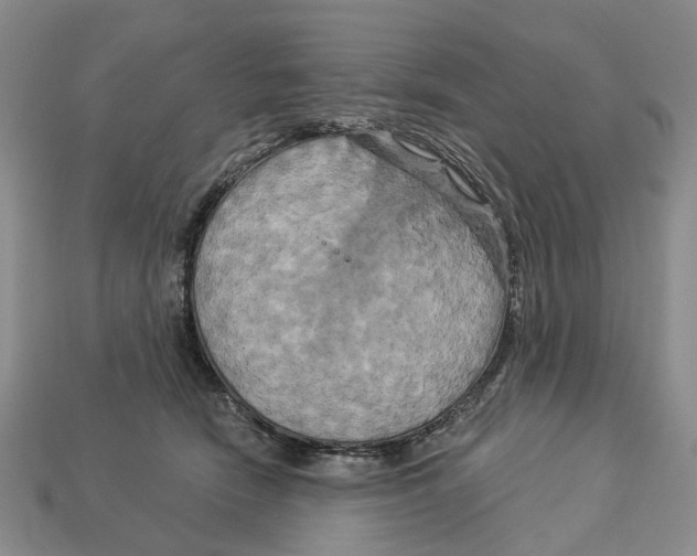X0000113050466200909241459