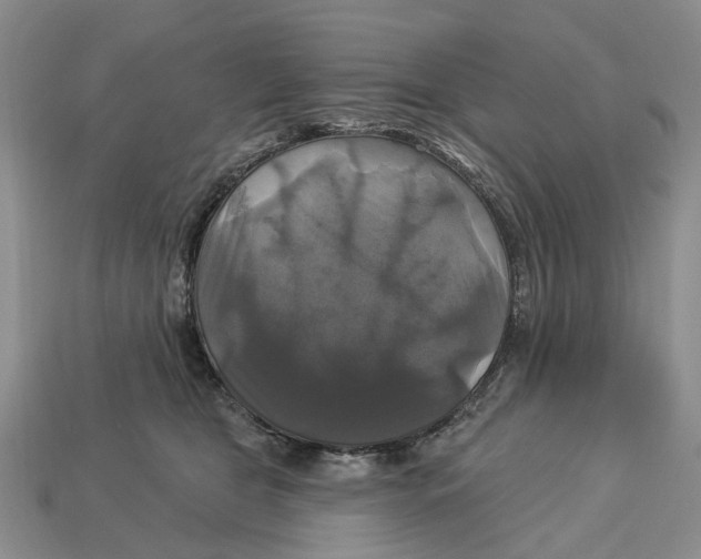 X0000113050469200909241459