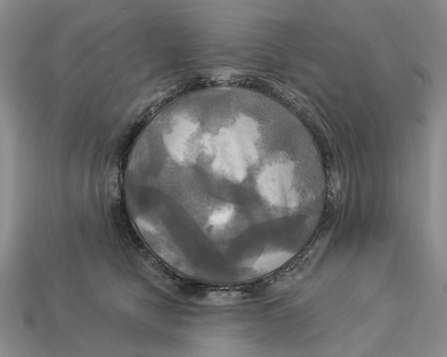 X0000113050470200909241459