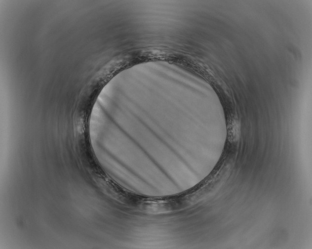 X0000113050472200909241459