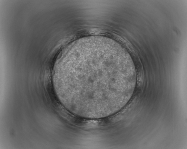 X0000113050473200909241459