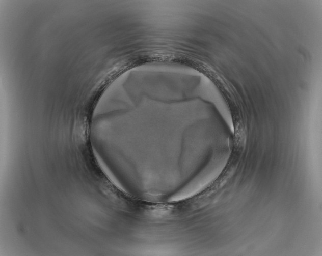 X0000113050474200909241459