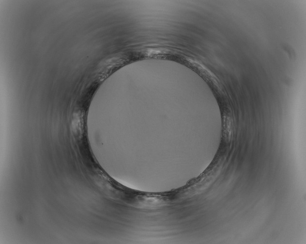 X0000113050475200909241459