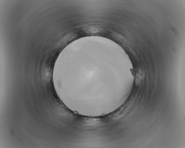 X0000113050476200909241459