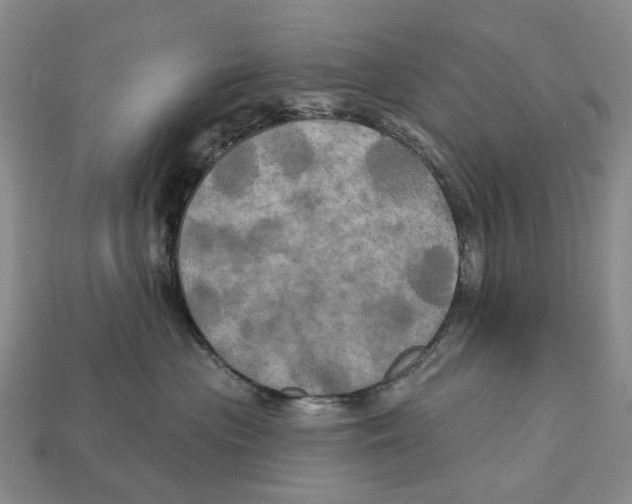 X0000113050477200909241459
