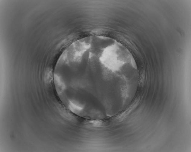 X0000113050478200909241459
