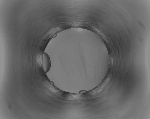 X0000113050479200909241459