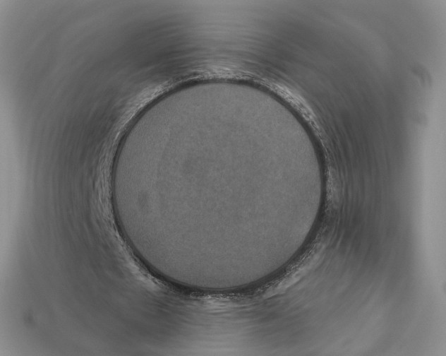 X0000113050481200909241458