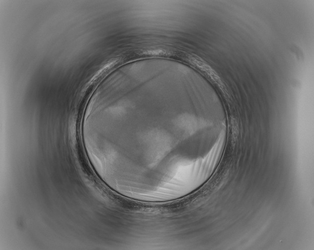 X0000113050482200909241458