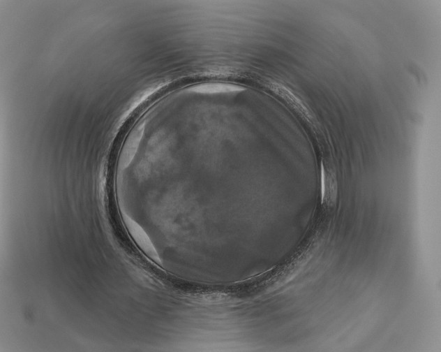 X0000113050483200909241458