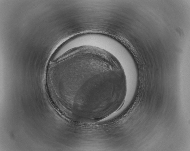 X0000113050484200909241458