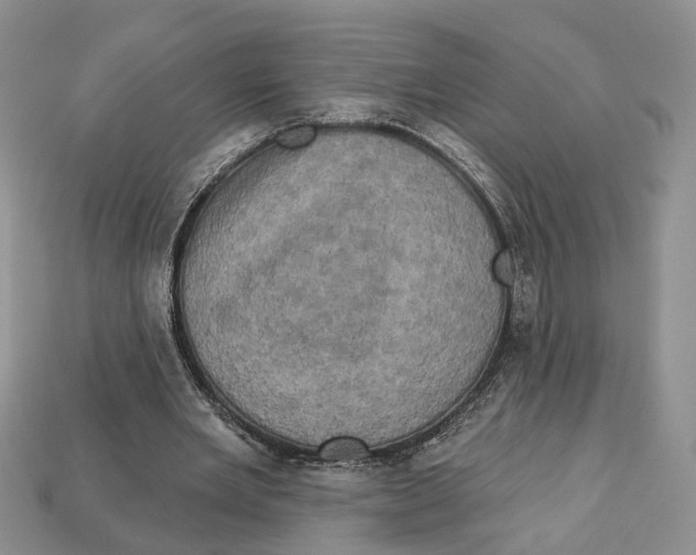 X0000113050485200909241458