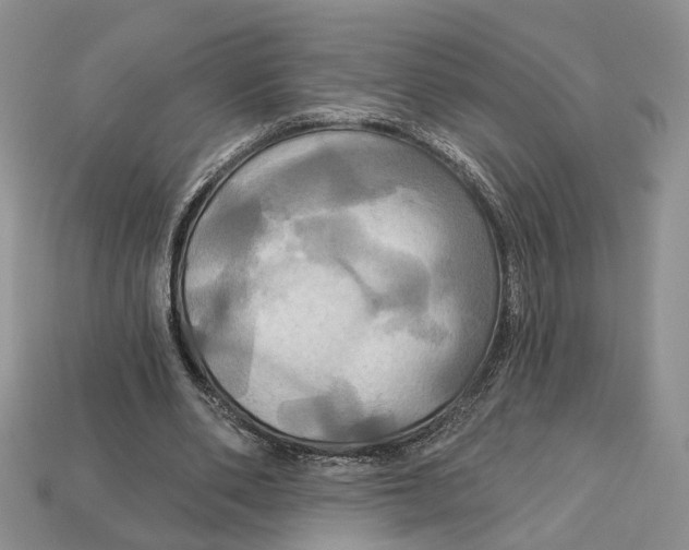 X0000113050486200909241458