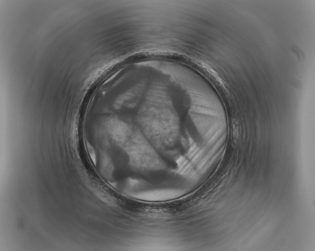X0000113050487200909241458