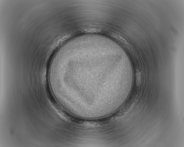 X0000113050490200909241458