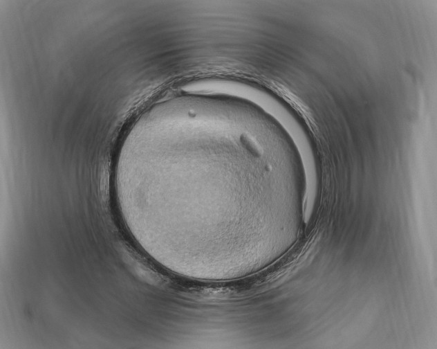 X0000113050493200909241458