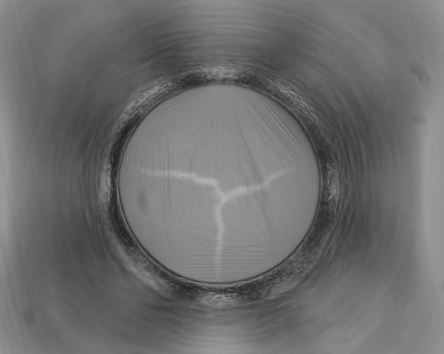 X0000113050494200909241458