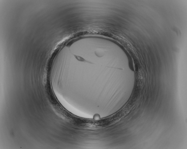 X0000113050496200909241458