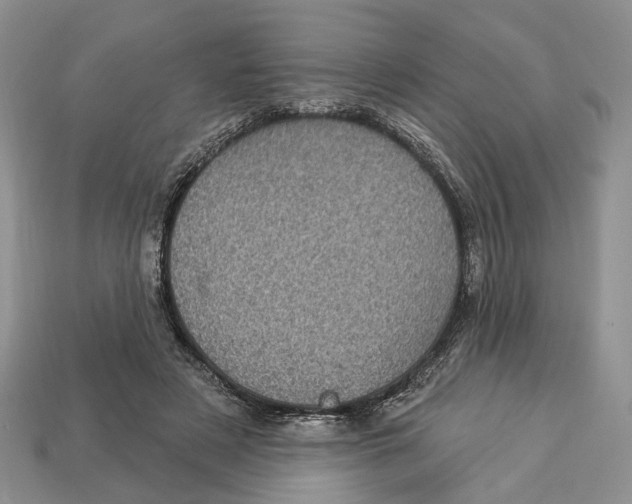 X0000113050497200909241458