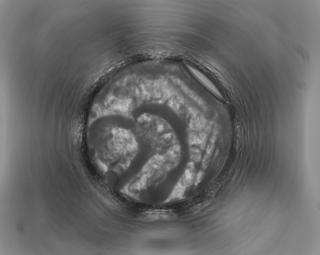 X0000113050499200909241458