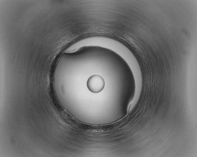 X0000113050500200909241458