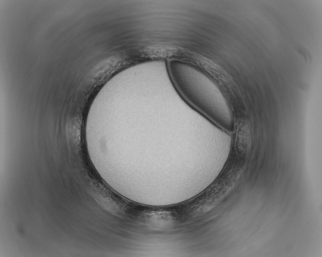 X0000113050501200909241458