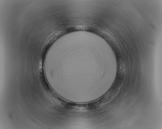 X0000113050502200909241458