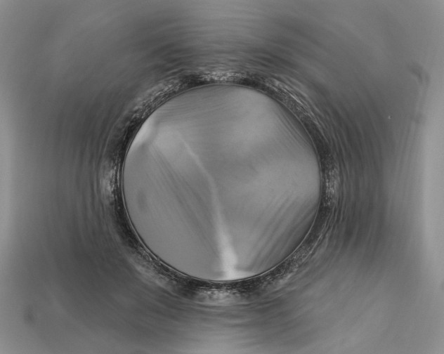 X0000113050503200909241458