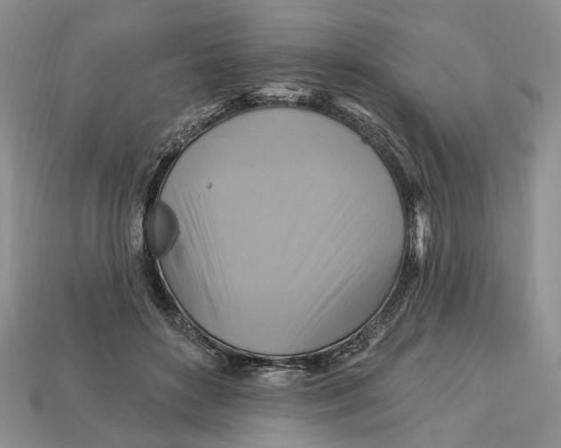 X0000113050504200909241458