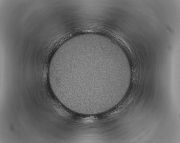 X0000113050505200909241458