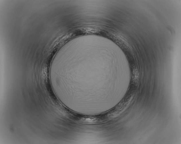 X0000113050506200909241458