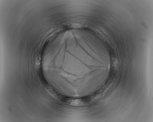 X0000113050507200909241458