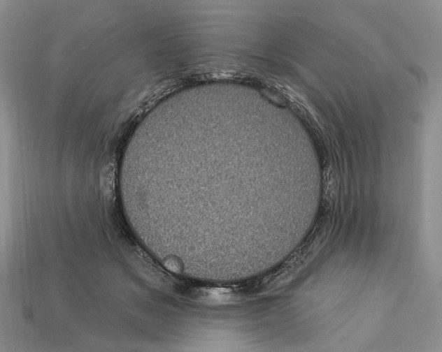 X0000113050509200909241458