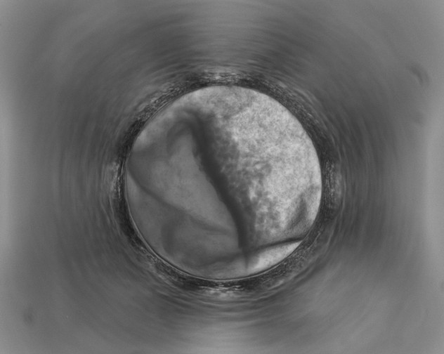 X0000113050511200909241458