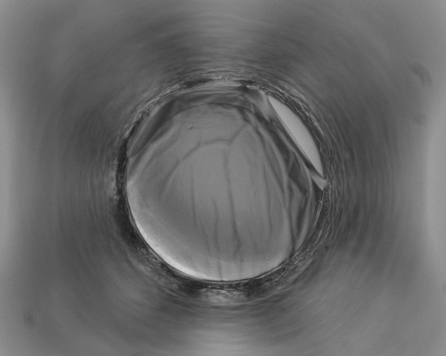 X0000113050512200909241458