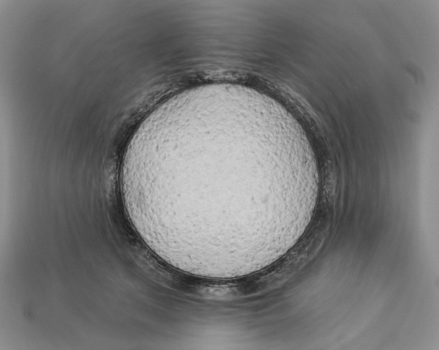 X0000113050513200909241458