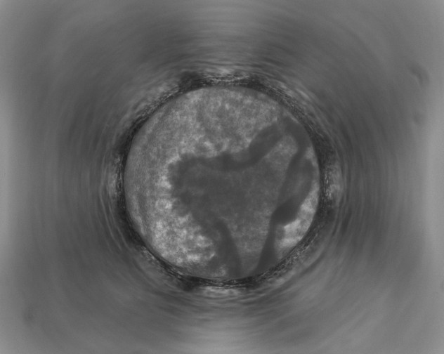 X0000113050515200909241458