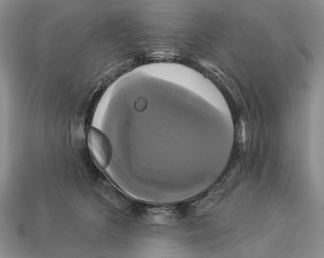 X0000113050516200909241458