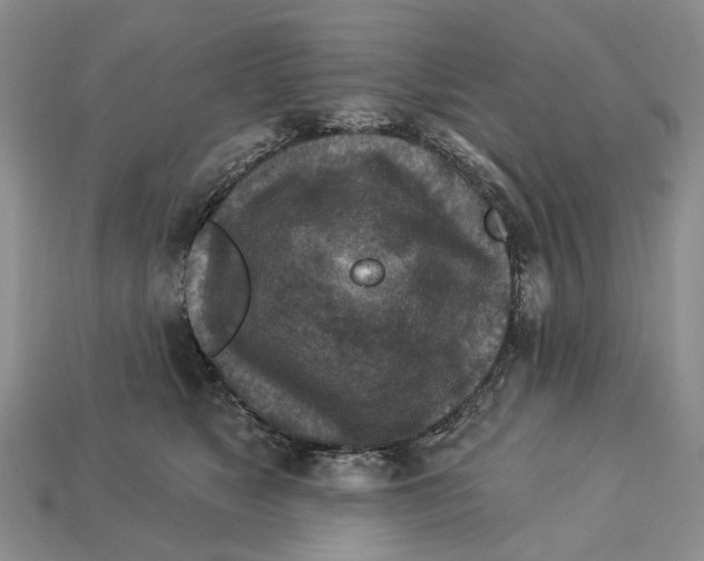 X0000113050517200909241458